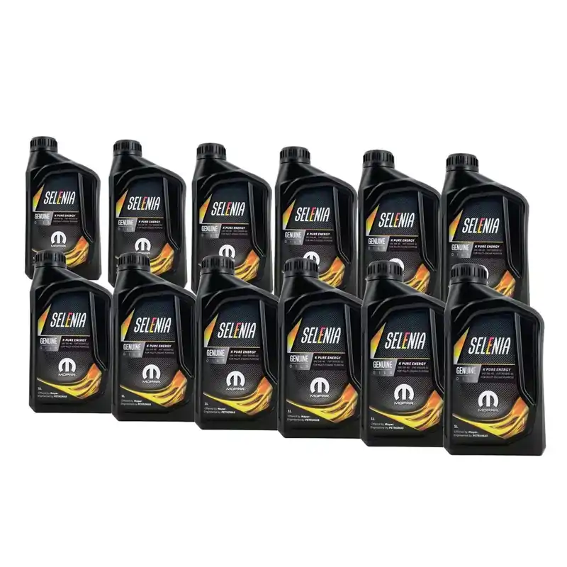 Preis Gesenkt Selenia K Pure Energy 5W-40 12x1 Liter