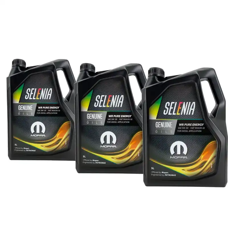 Versand Am Gleichen Tag Selenia WR Pure Energy 5W-30 3x5 Liter