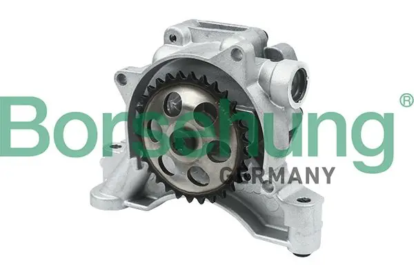 Kracherpreis Borsehung Ölpumpe (B12697) KFZ-7046911